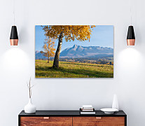 Obraz Jesenná príroda